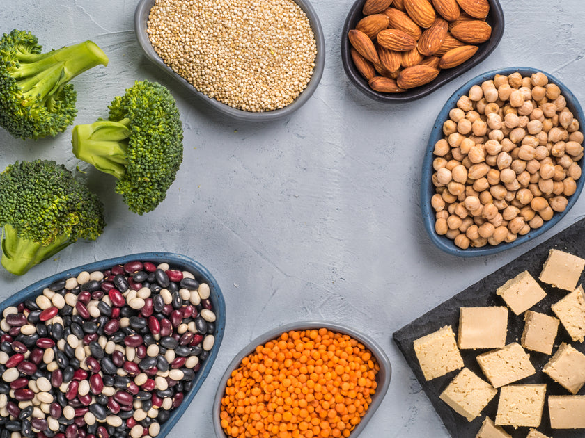 What is protein complementation? | Vivo Life – Vivo Life USA