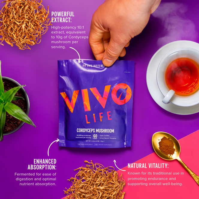 Cordyceps Mushroom Powder (10:1 extract) – Vivo Life USA Cordyceps Mushroom Powder (10:1 extract) – Vivo Life USA