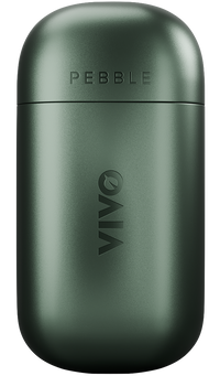 PEBBLE