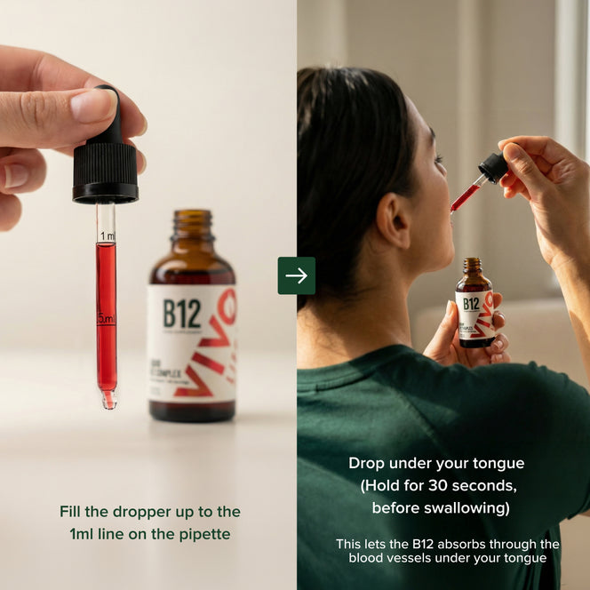 Vegan Liquid B12 Supplement | Vivo Life  Vivo Life USA