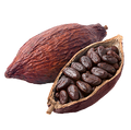 Cocoa & Black Tea