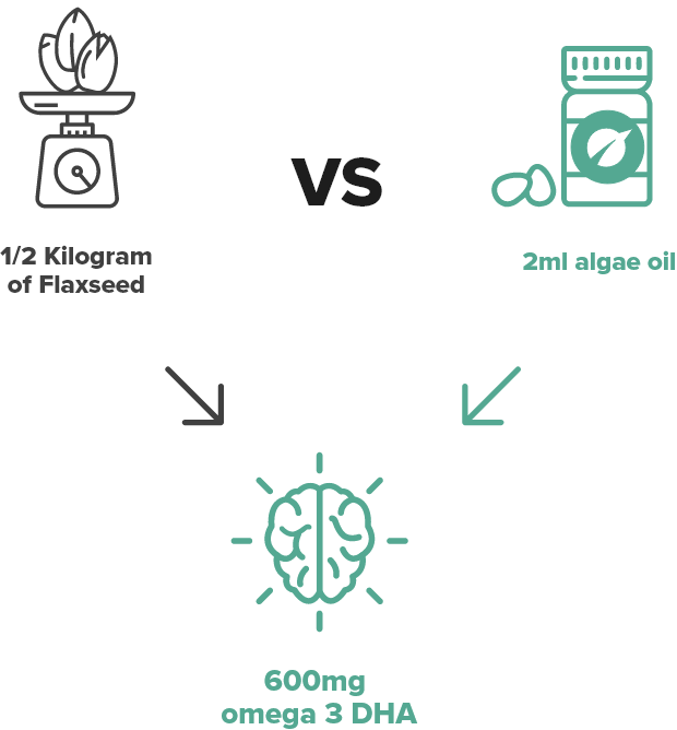Algae VS Oil Diagram